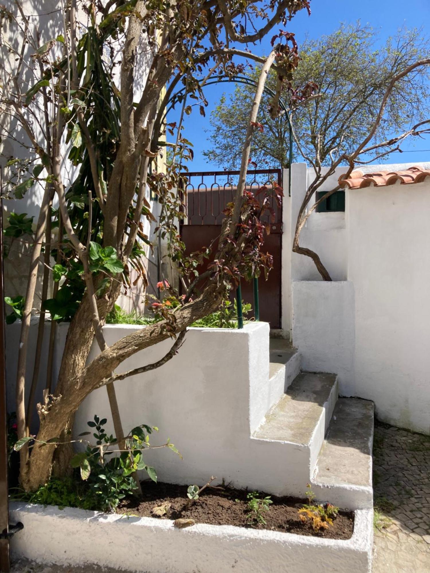 Family House Adraga Villa Sintra Exterior photo
